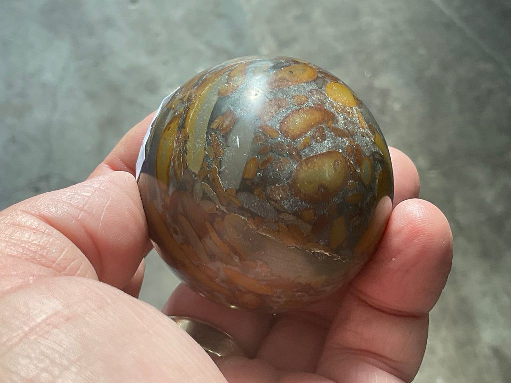 182g Bamboo Jasper Sphere 2A (Perfectly Imperfect)