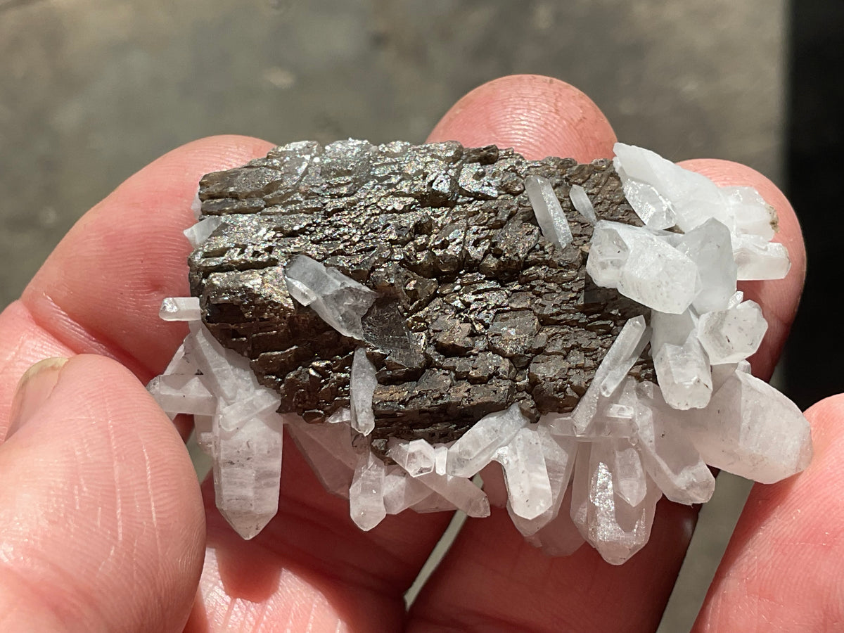 28g Clear Quartz Points on Brown Calcite Specimen 2B from Fujian, China