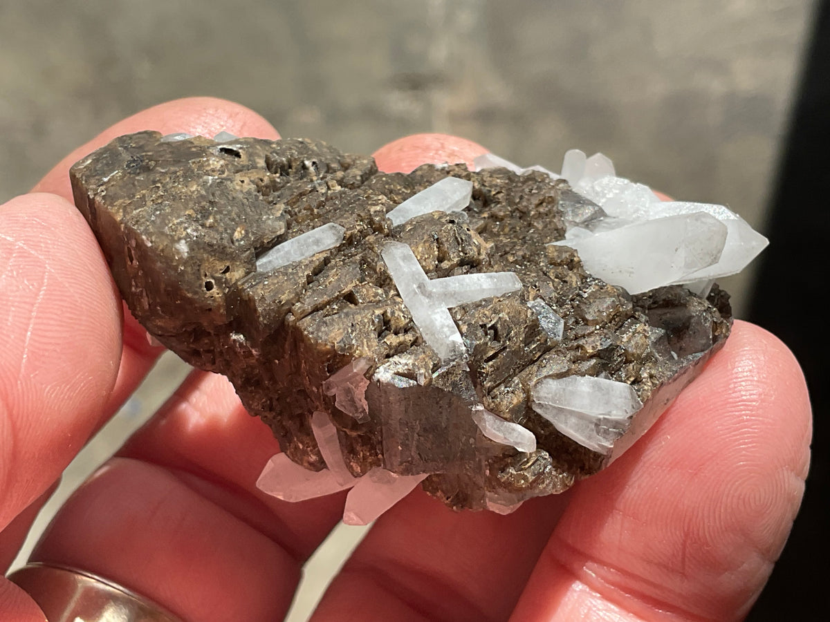 42g Clear Quartz Points on Brown Calcite Specimen 4A from Fujian, China