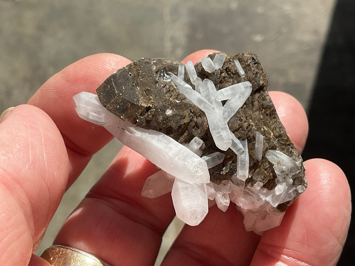 48g Clear Quartz Points on Brown Calcite Specimen 4B from Fujian, China