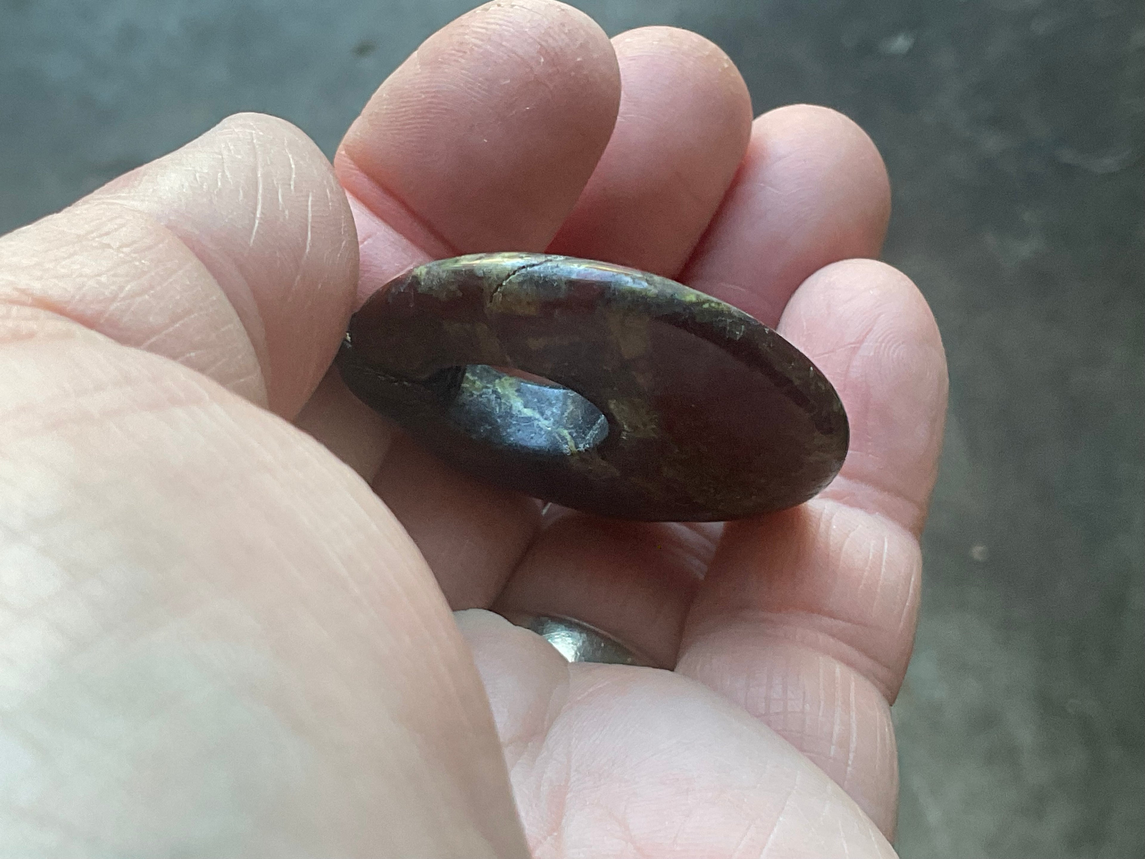 20g Dragons Blood Jasper Pendant 2A