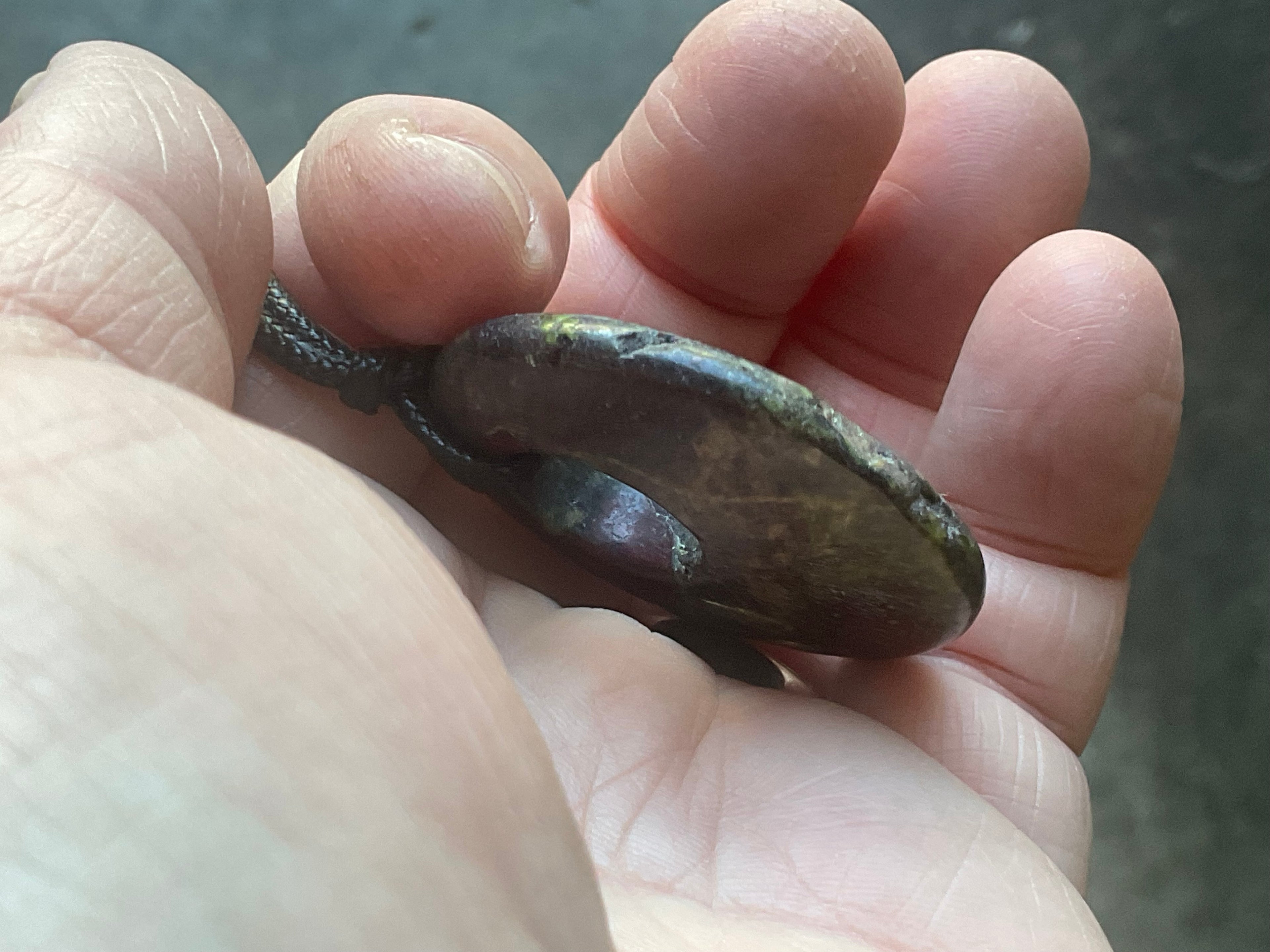 20g Dragons Blood Jasper Pendant 2A