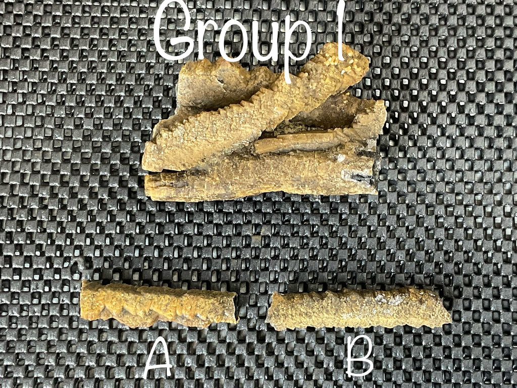 8g Stepped Brown Calcite Tube with Graphite Specimen 1B