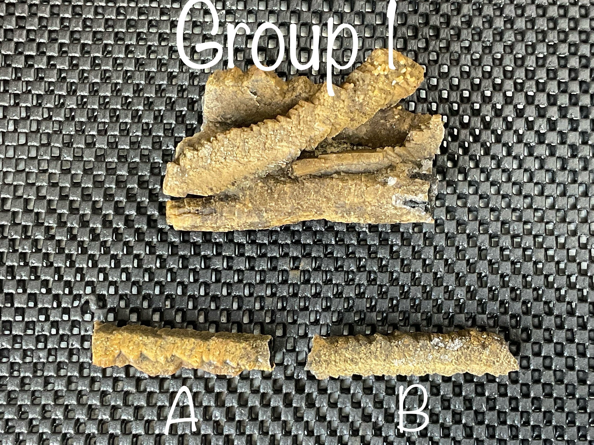 8g Stepped Brown Calcite Tube with Graphite Specimen 1B