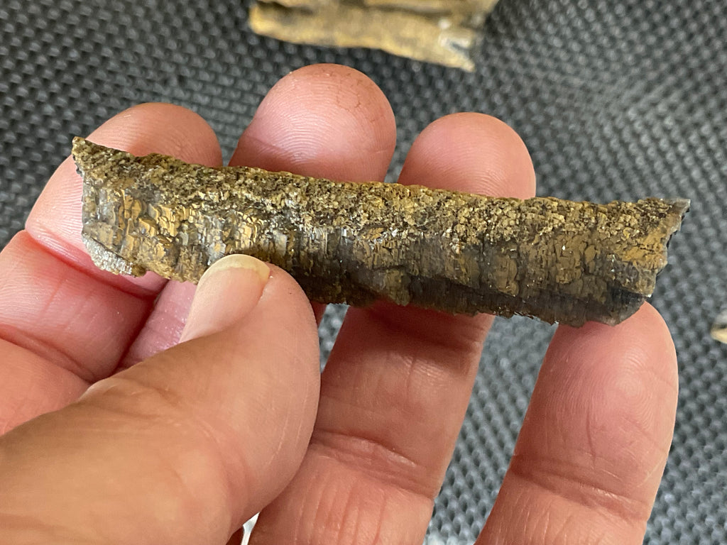 8g Stepped Brown Calcite Tube with Graphite Specimen 1B