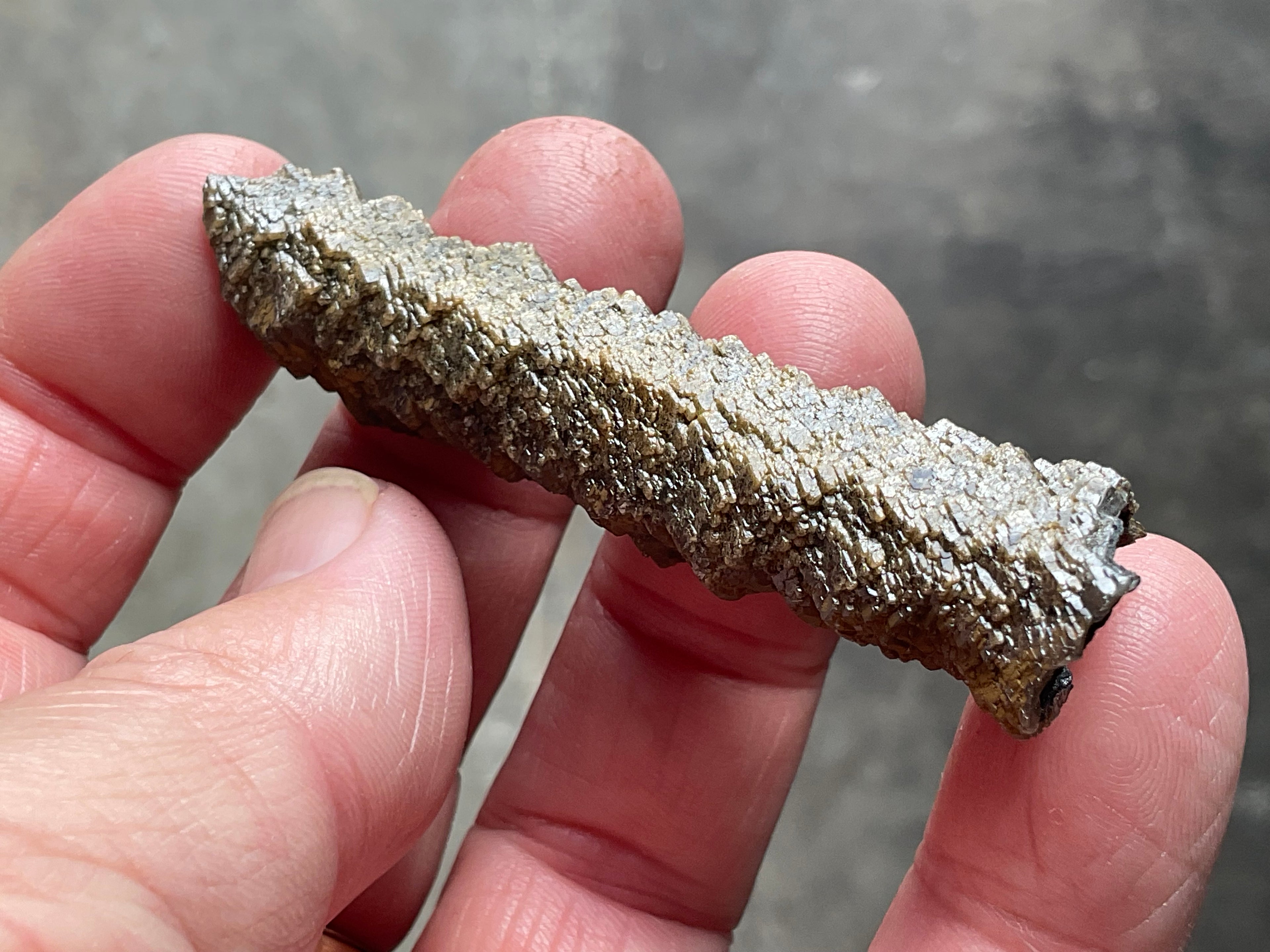 8g Stepped Brown Calcite Tube with Graphite Specimen 1B