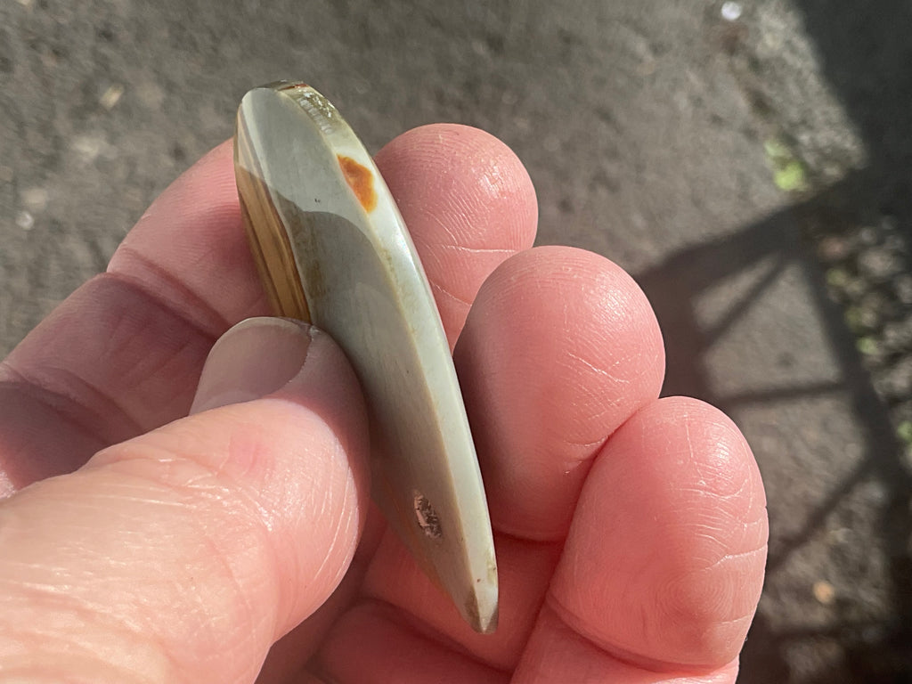 14g Polychrome Jasper Pendant 3A