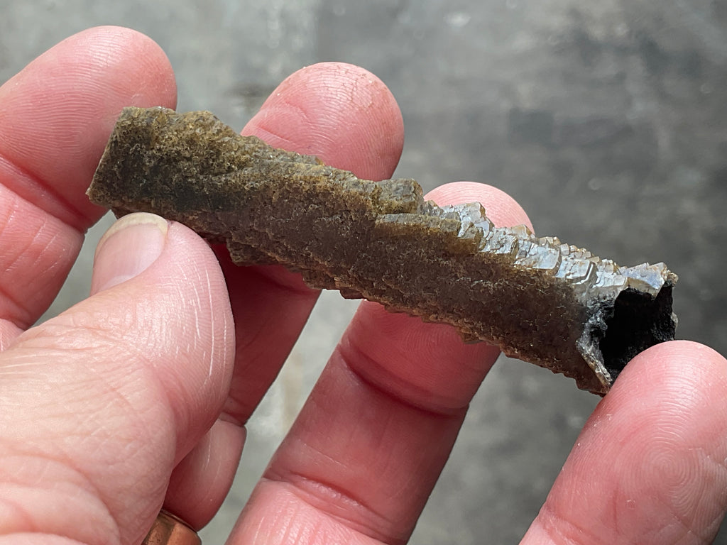 8g Stepped Brown Calcite Tube with Graphite Specimen 1B