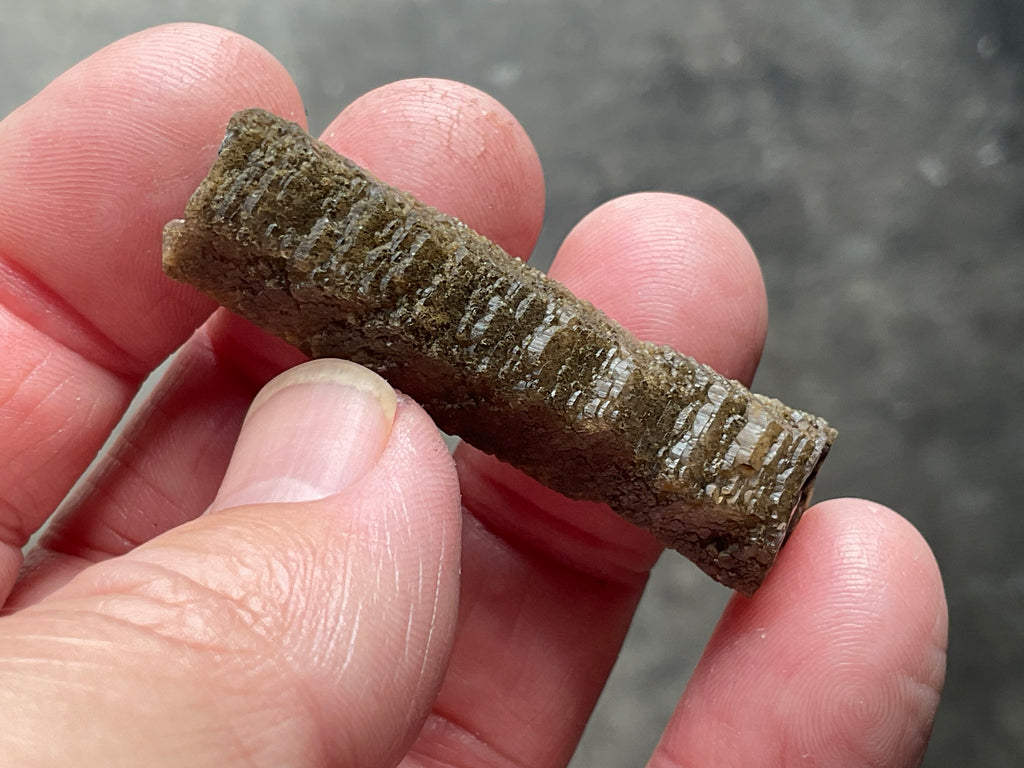 6g Stepped Brown Calcite Tube with Graphite Specimen 2A