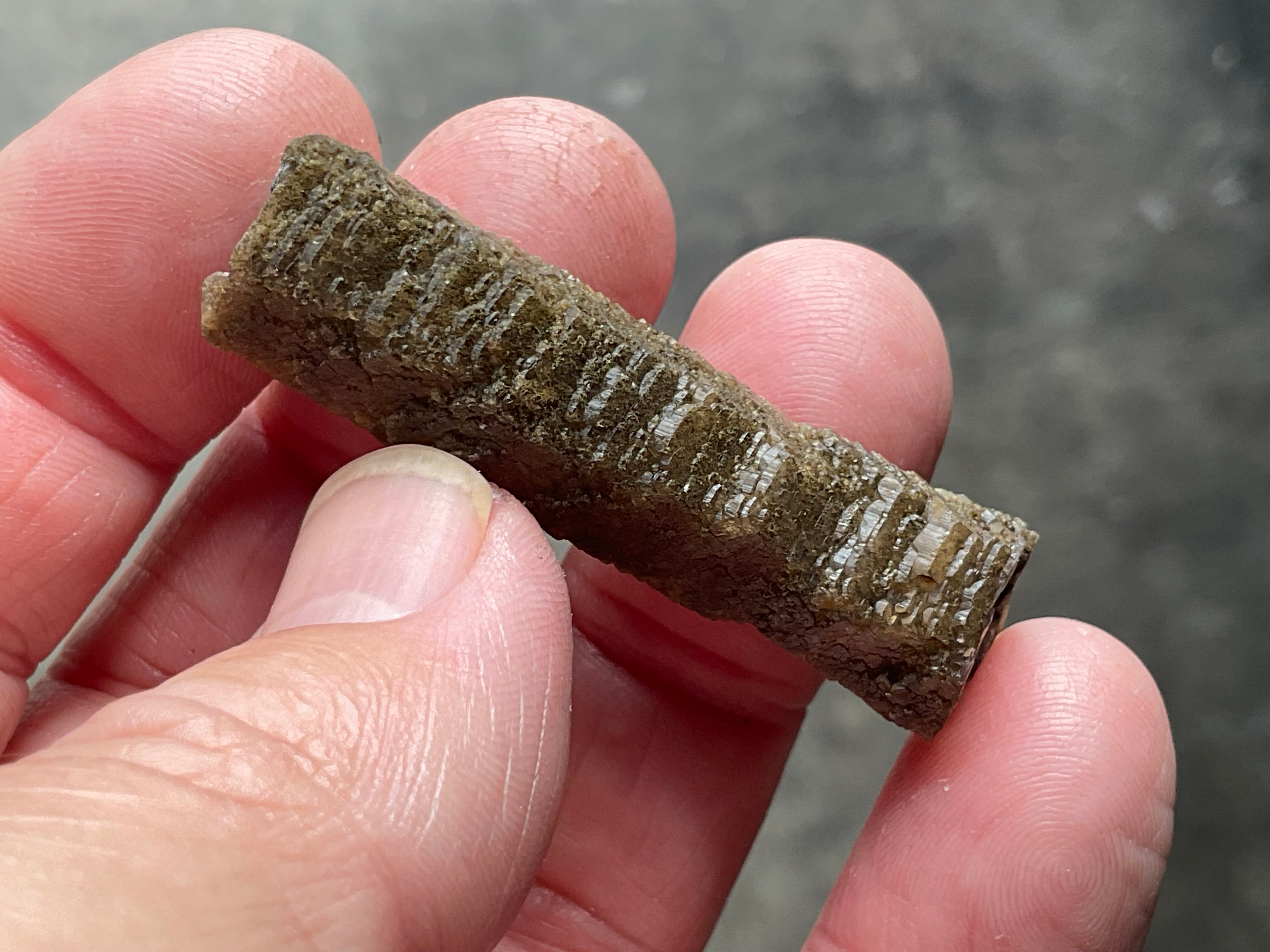 6g Stepped Brown Calcite Tube with Graphite Specimen 2A