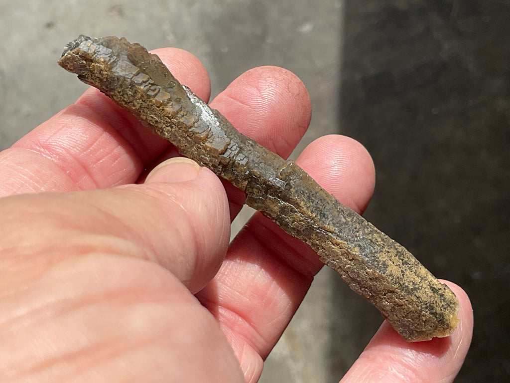 12g Stepped Brown Calcite Tube with Graphite Specimen 3A