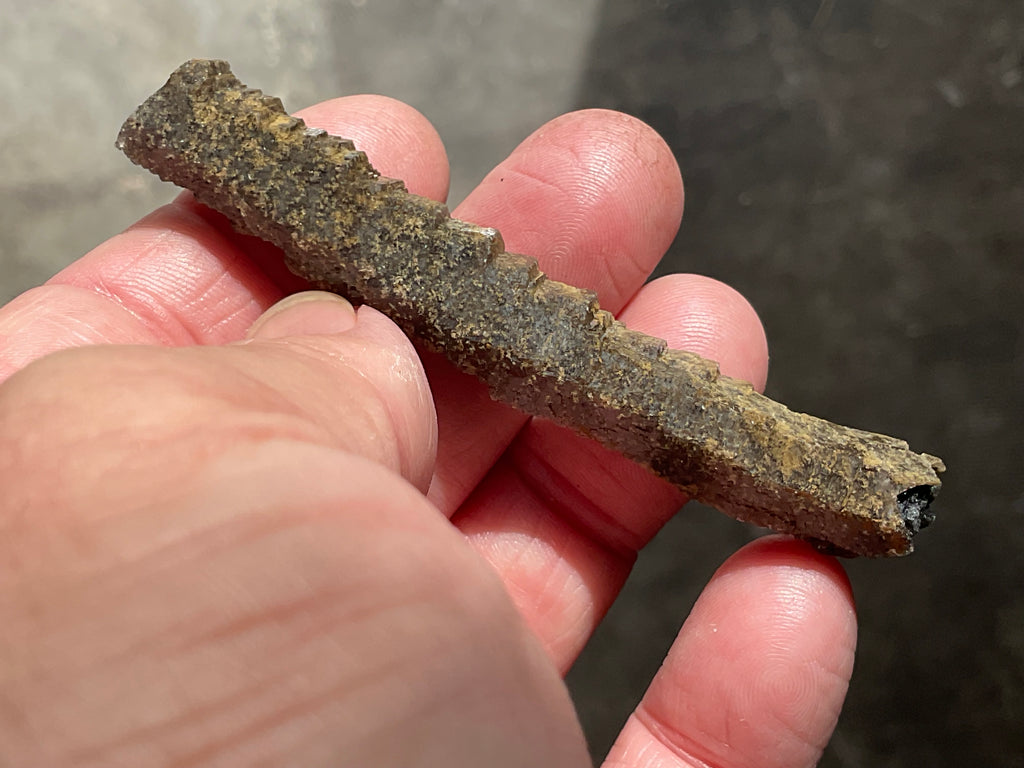 10g Stepped Brown Calcite Tube with Graphite Specimen 3B