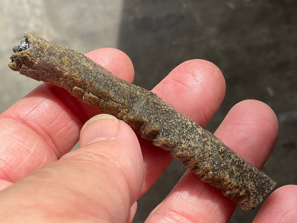 10g Stepped Brown Calcite Tube with Graphite Specimen 3B