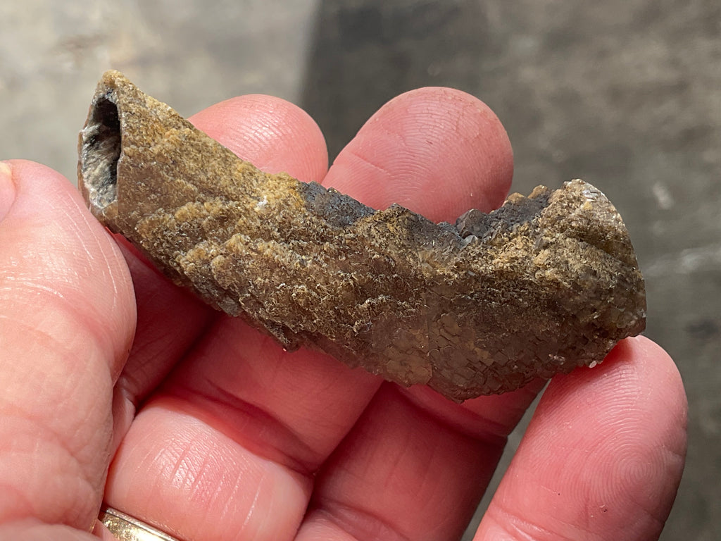 18g Stepped Brown Calcite Tube with Graphite Specimen 4A