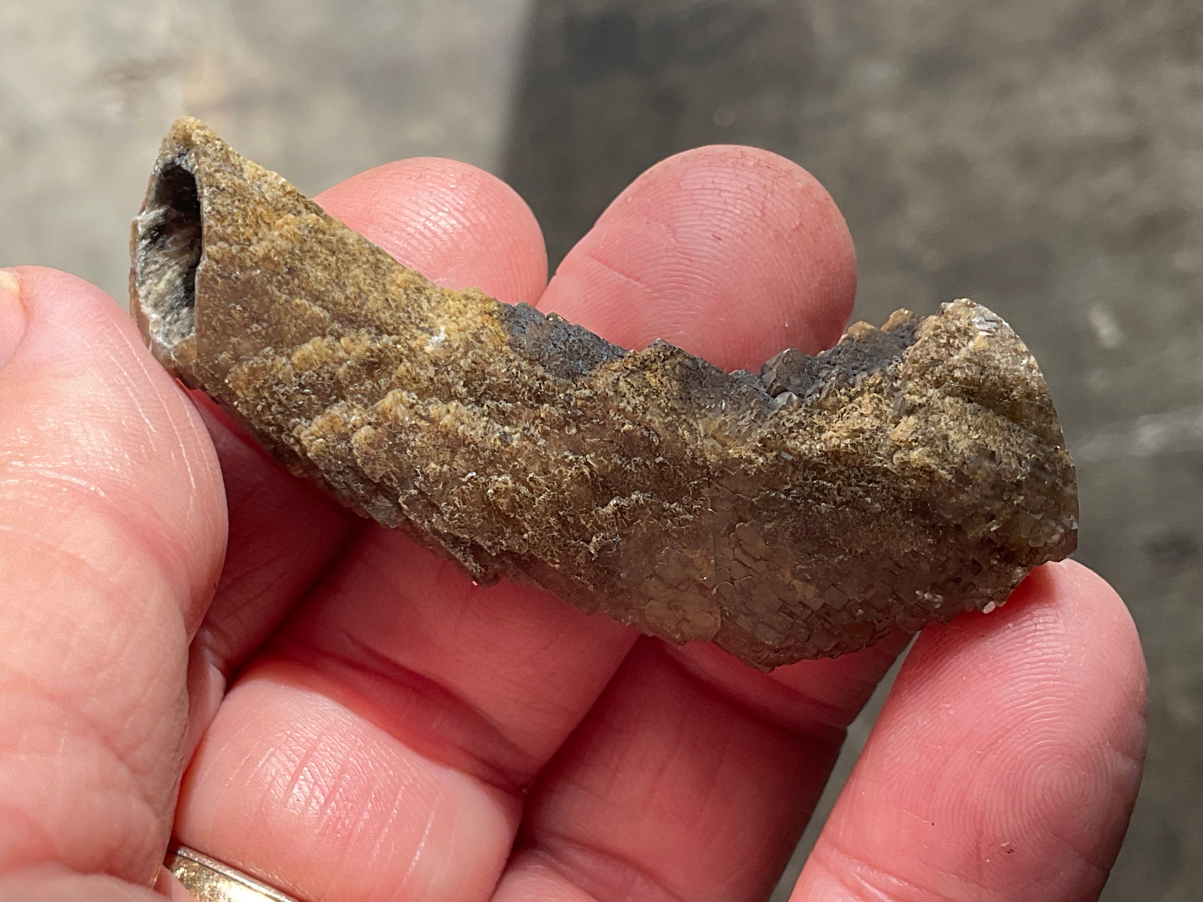 18g Stepped Brown Calcite Tube with Graphite Specimen 4A