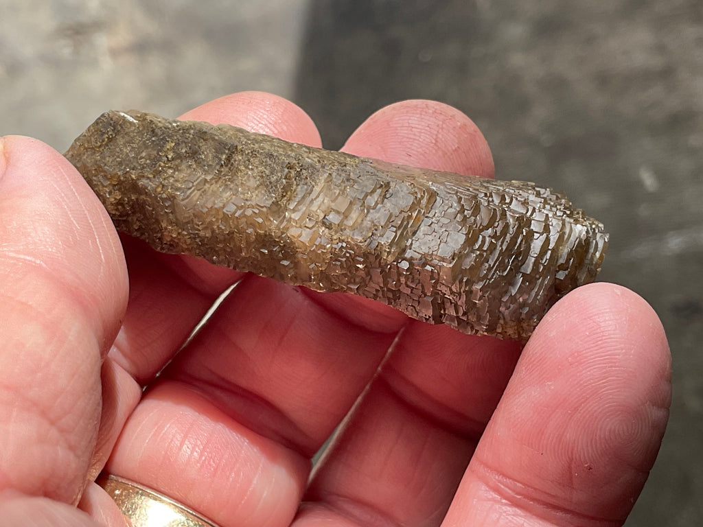 18g Stepped Brown Calcite Tube with Graphite Specimen 4A