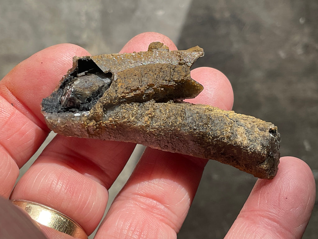 18g Stepped Brown Calcite Tube with Graphite Specimen 4B