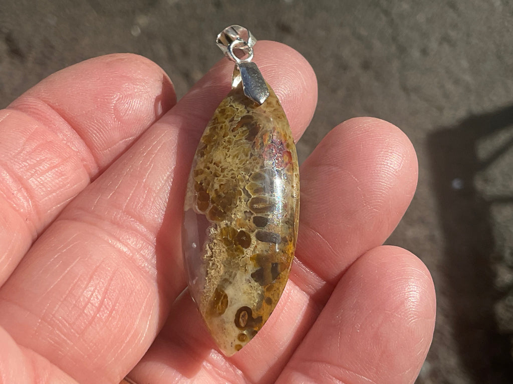 Indonesian Plume Agate Pendant 1B