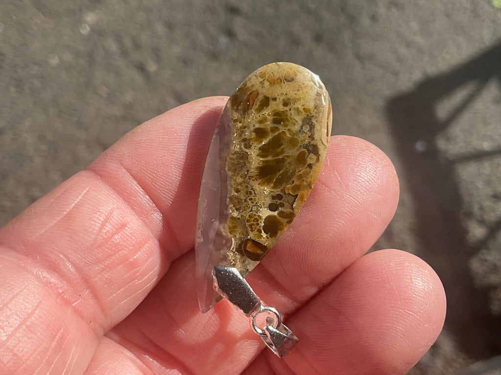 Indonesian Plume Agate Pendants 2A