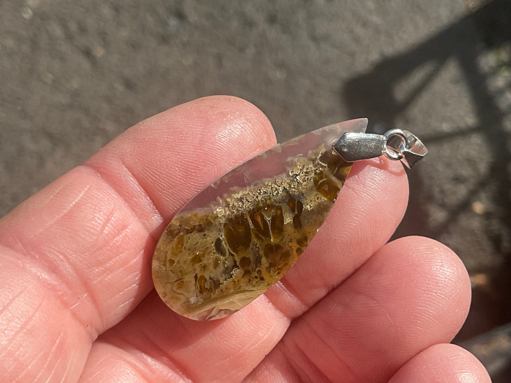 Indonesian Plume Agate Pendants 2A
