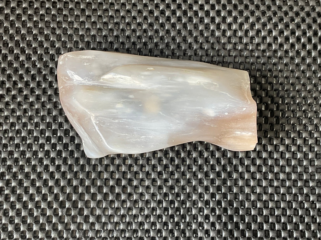 448g Myanmar Petrified/Opalised Wood Freeform