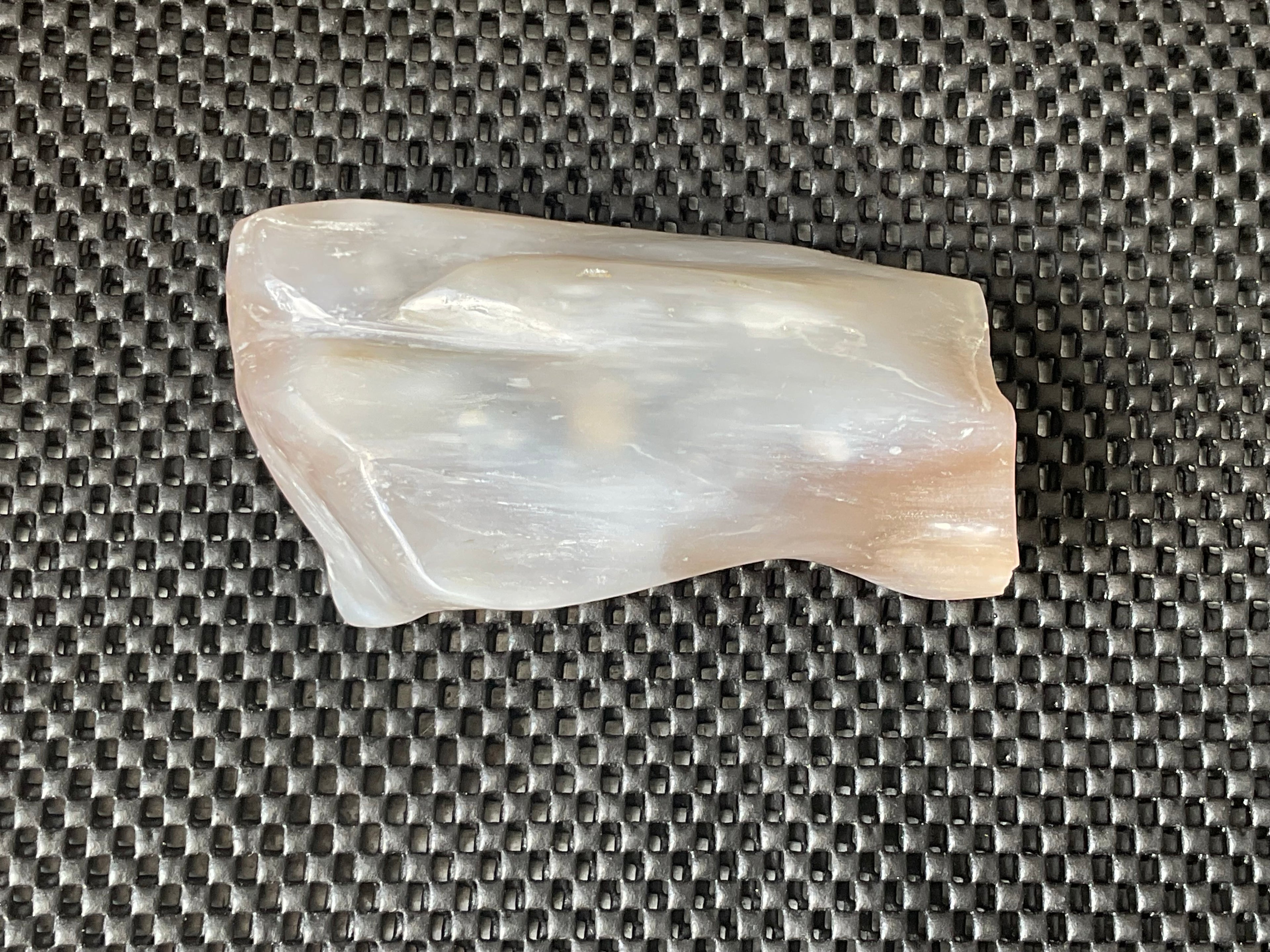 448g Myanmar Petrified/Opalised Wood Freeform