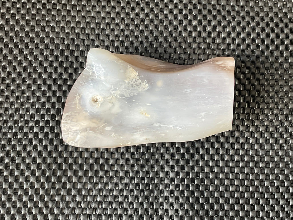 448g Myanmar Petrified/Opalised Wood Freeform