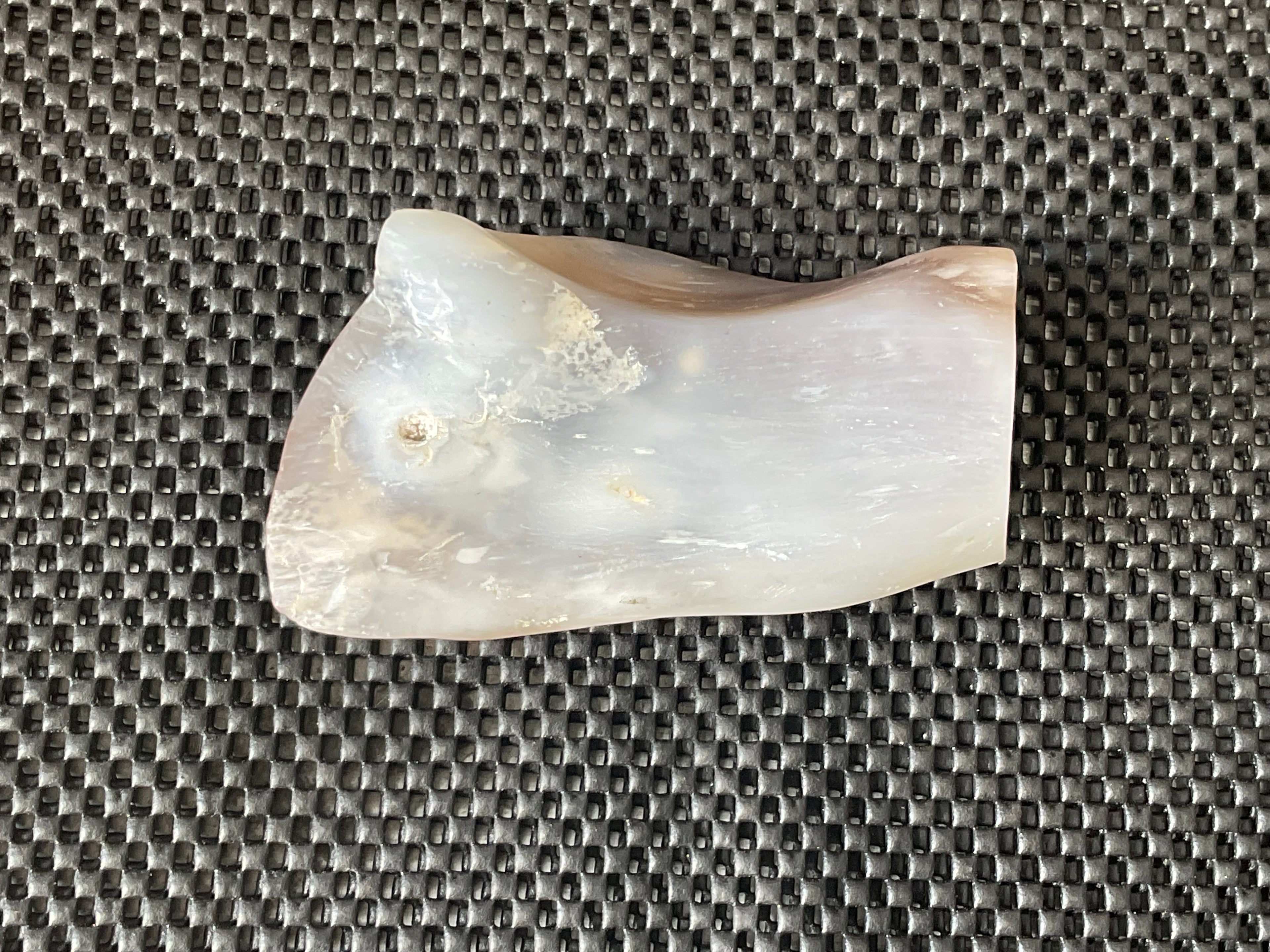 448g Myanmar Petrified/Opalised Wood Freeform