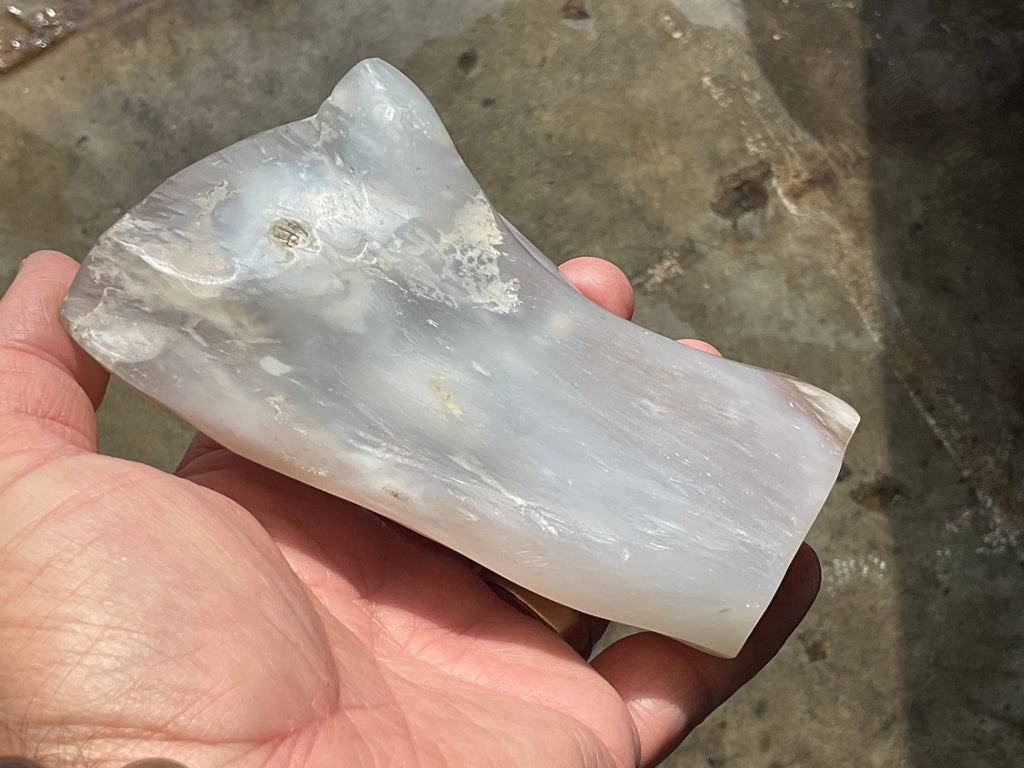 448g Myanmar Petrified/Opalised Wood Freeform