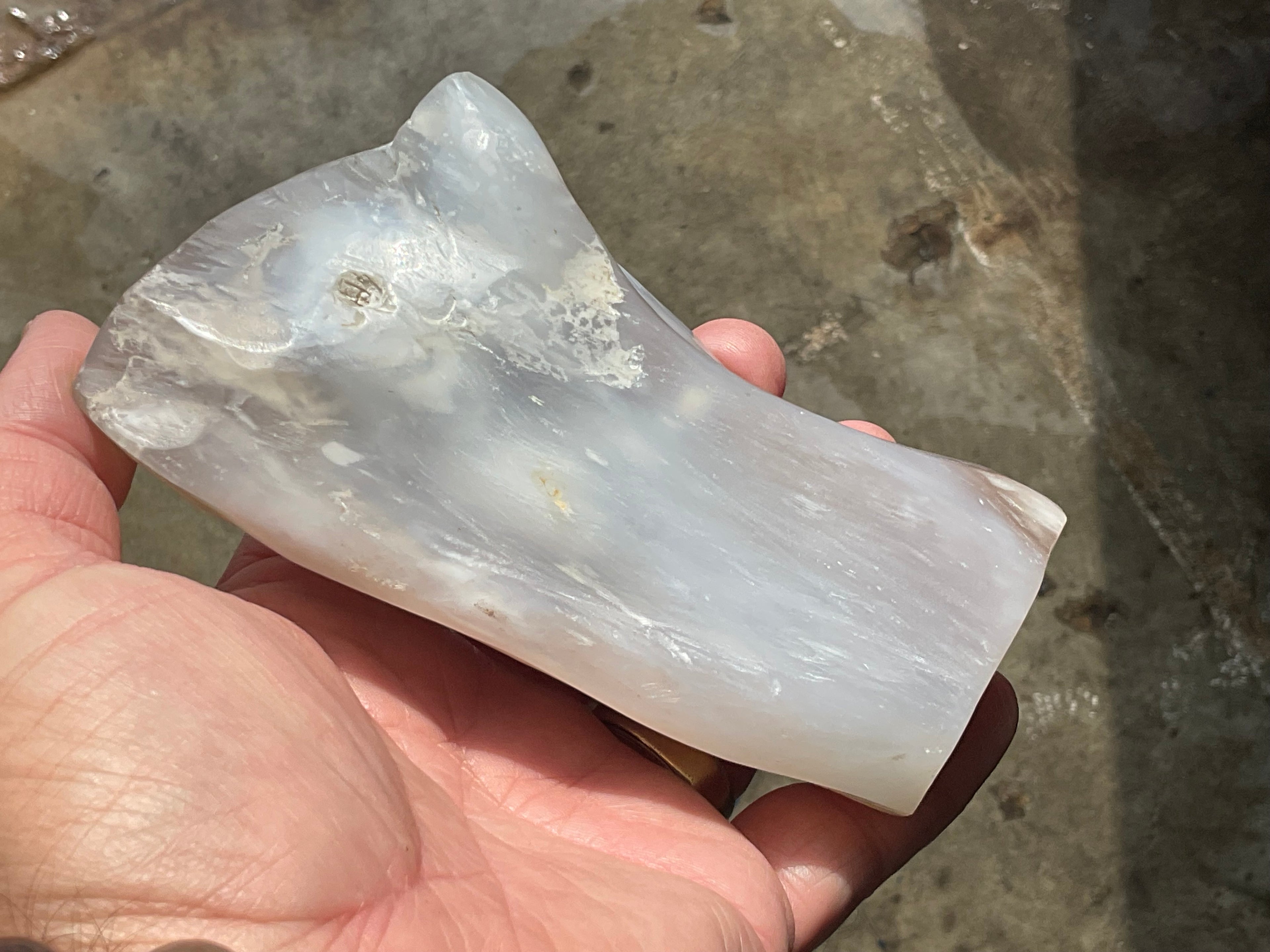 448g Myanmar Petrified/Opalised Wood Freeform