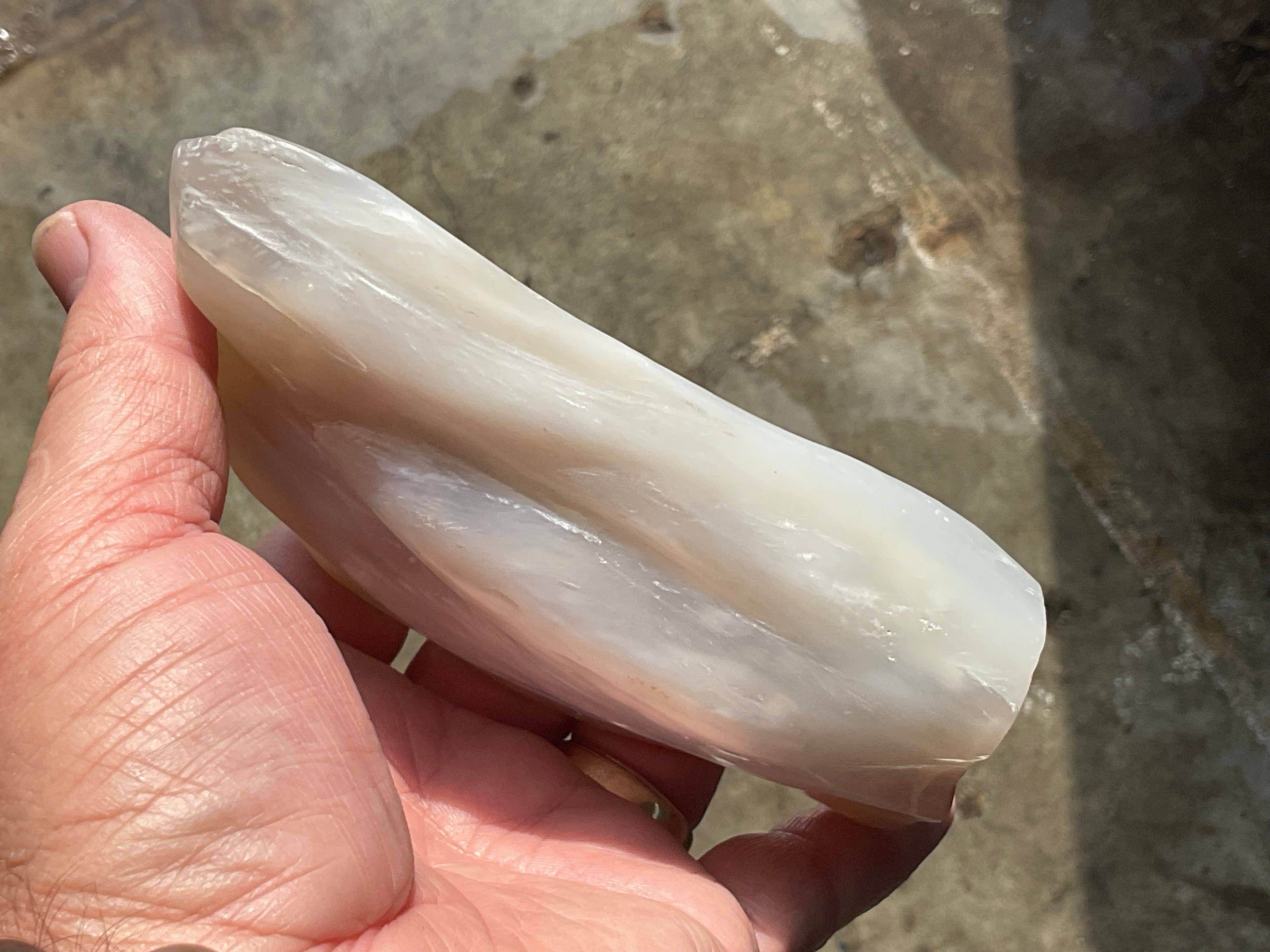 448g Myanmar Petrified/Opalised Wood Freeform