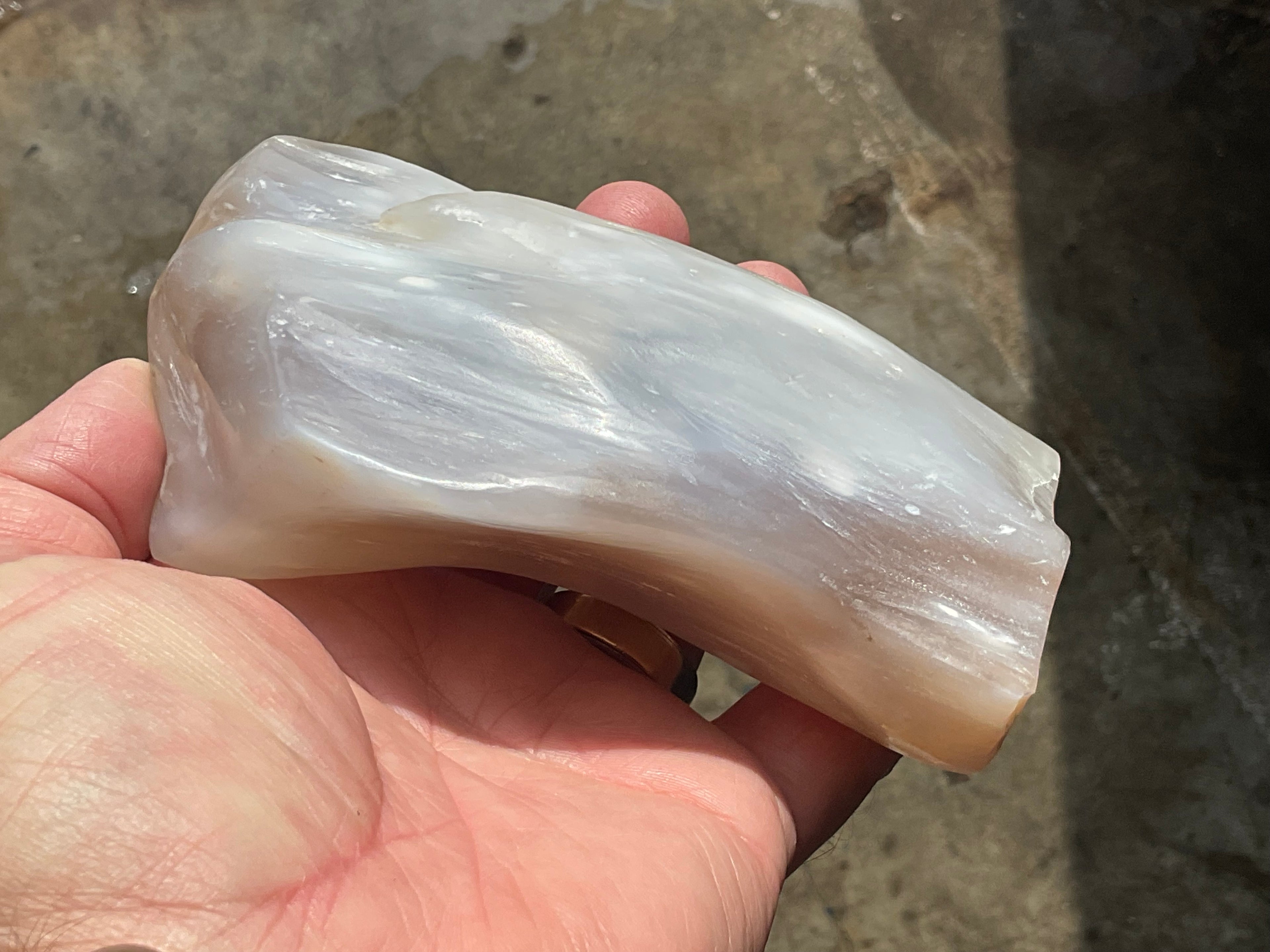 448g Myanmar Petrified/Opalised Wood Freeform