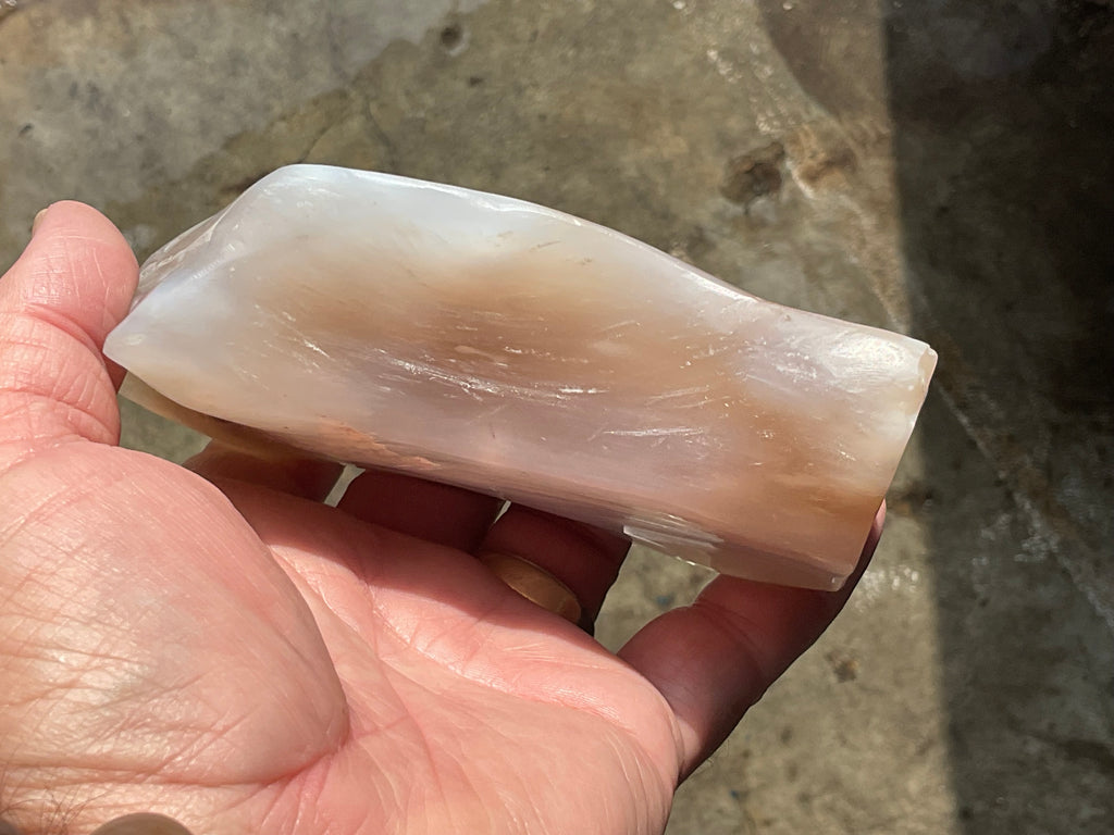 448g Myanmar Petrified/Opalised Wood Freeform