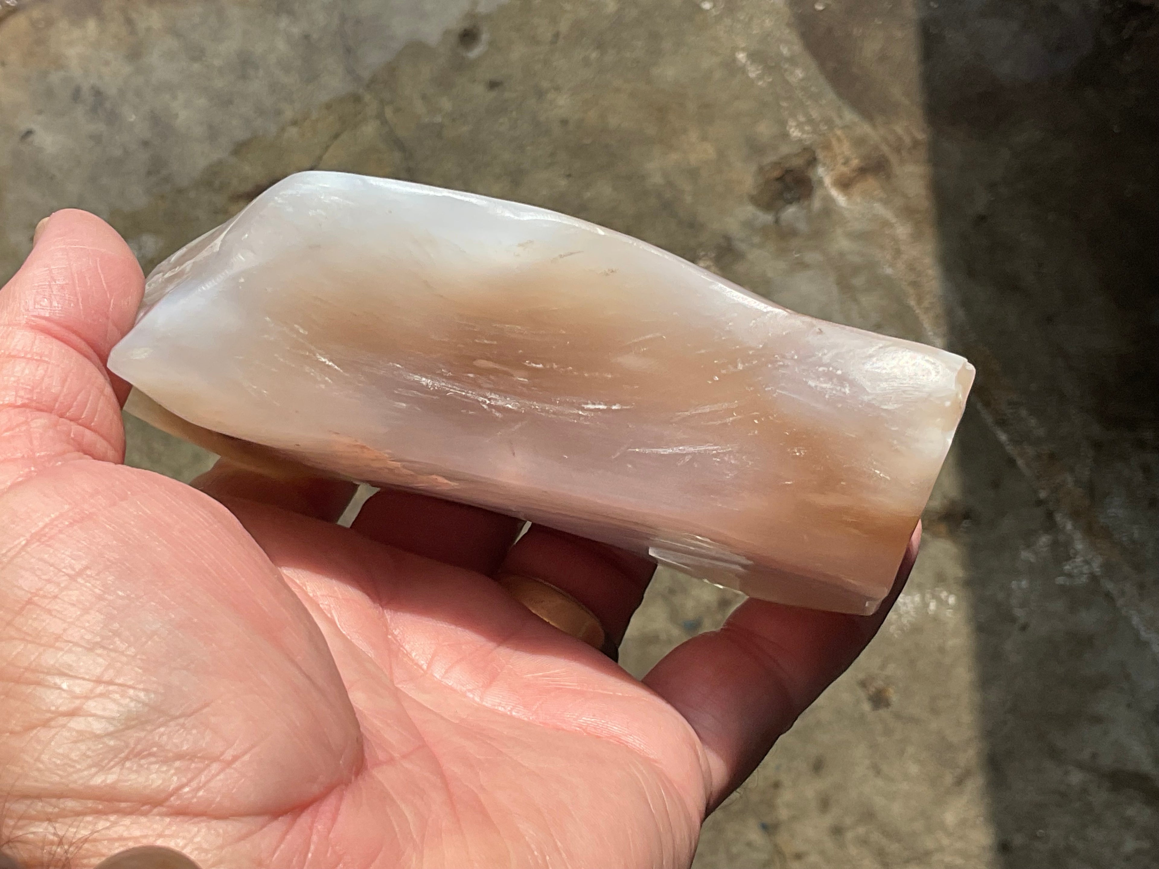 448g Myanmar Petrified/Opalised Wood Freeform