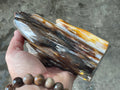 904g Myanmar Petrified/Opalised Wood Freeform