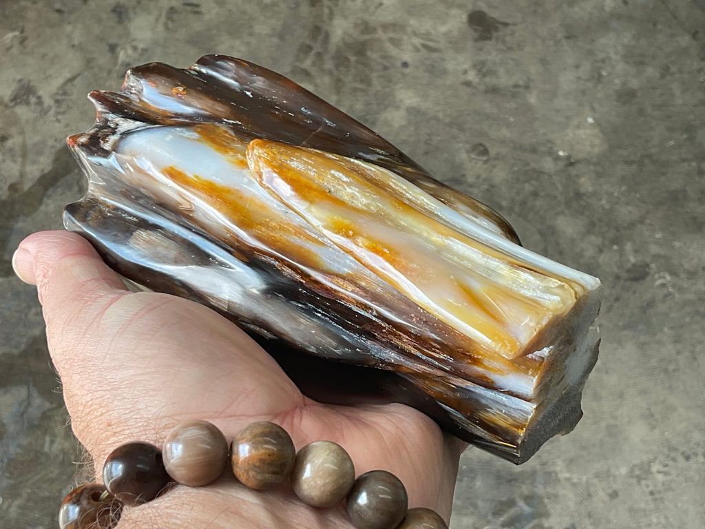 904g Myanmar Petrified/Opalised Wood Freeform