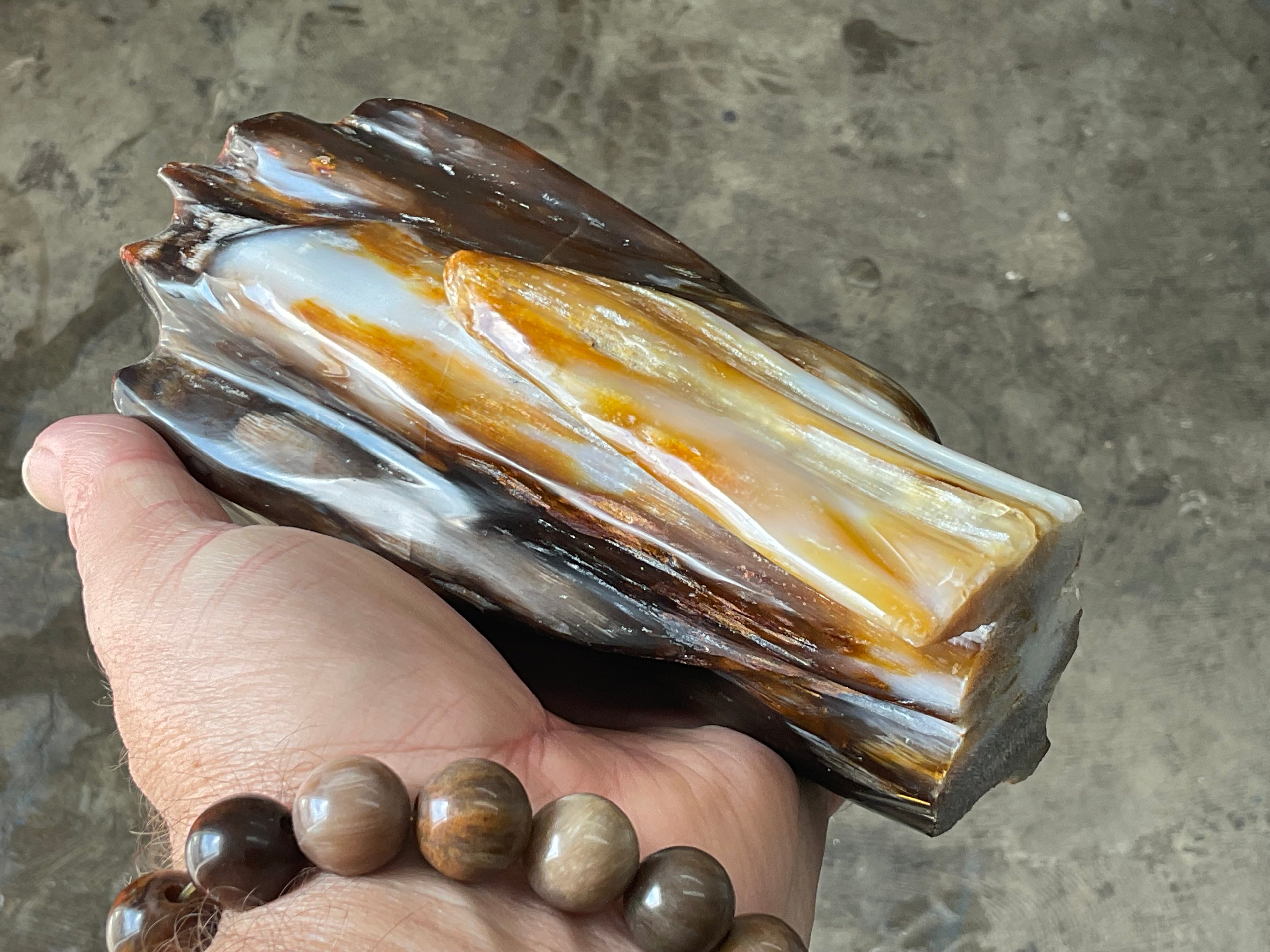 904g Myanmar Petrified/Opalised Wood Freeform