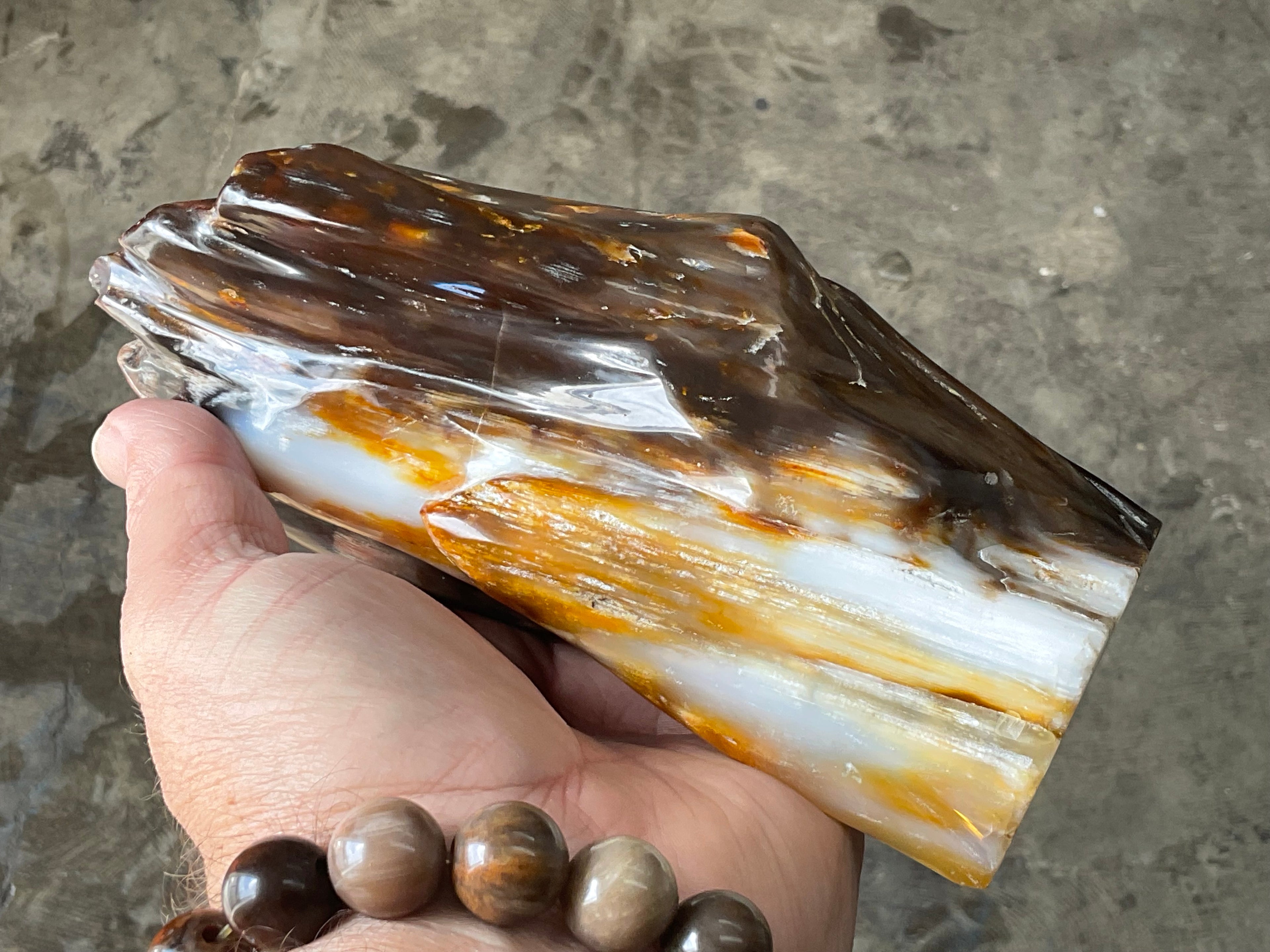 904g Myanmar Petrified/Opalised Wood Freeform