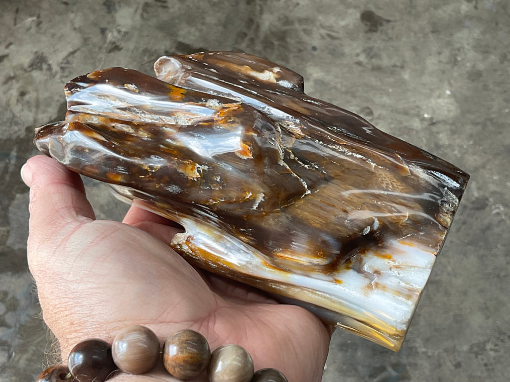 904g Myanmar Petrified/Opalised Wood Freeform