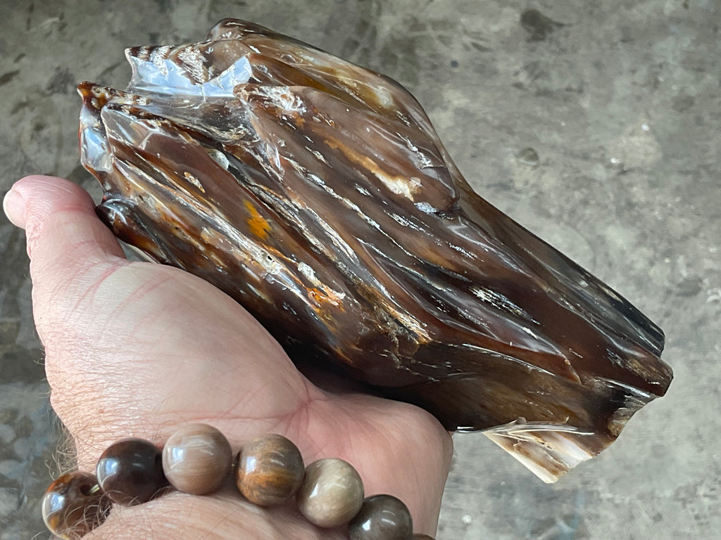 904g Myanmar Petrified/Opalised Wood Freeform