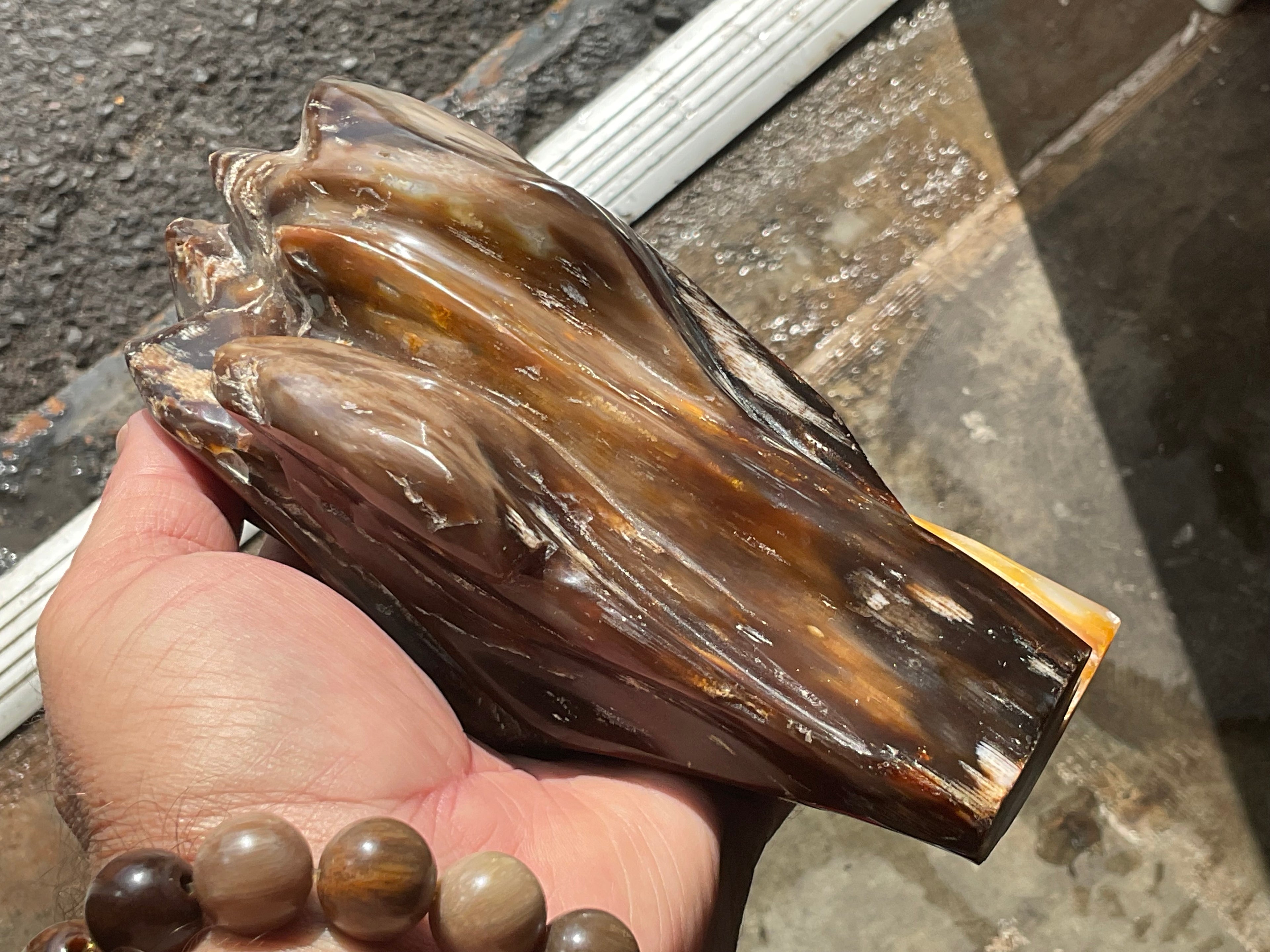 904g Myanmar Petrified/Opalised Wood Freeform