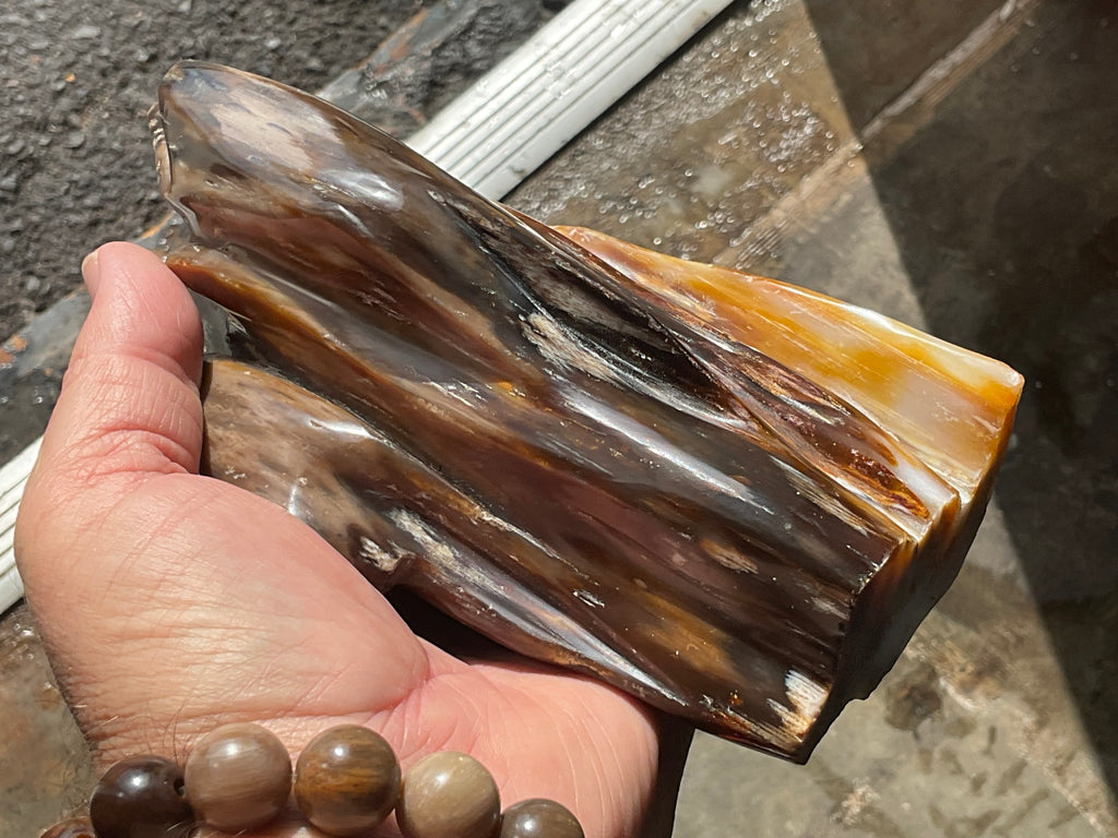 904g Myanmar Petrified/Opalised Wood Freeform