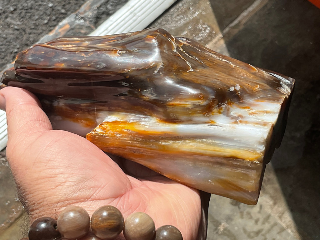 904g Myanmar Petrified/Opalised Wood Freeform