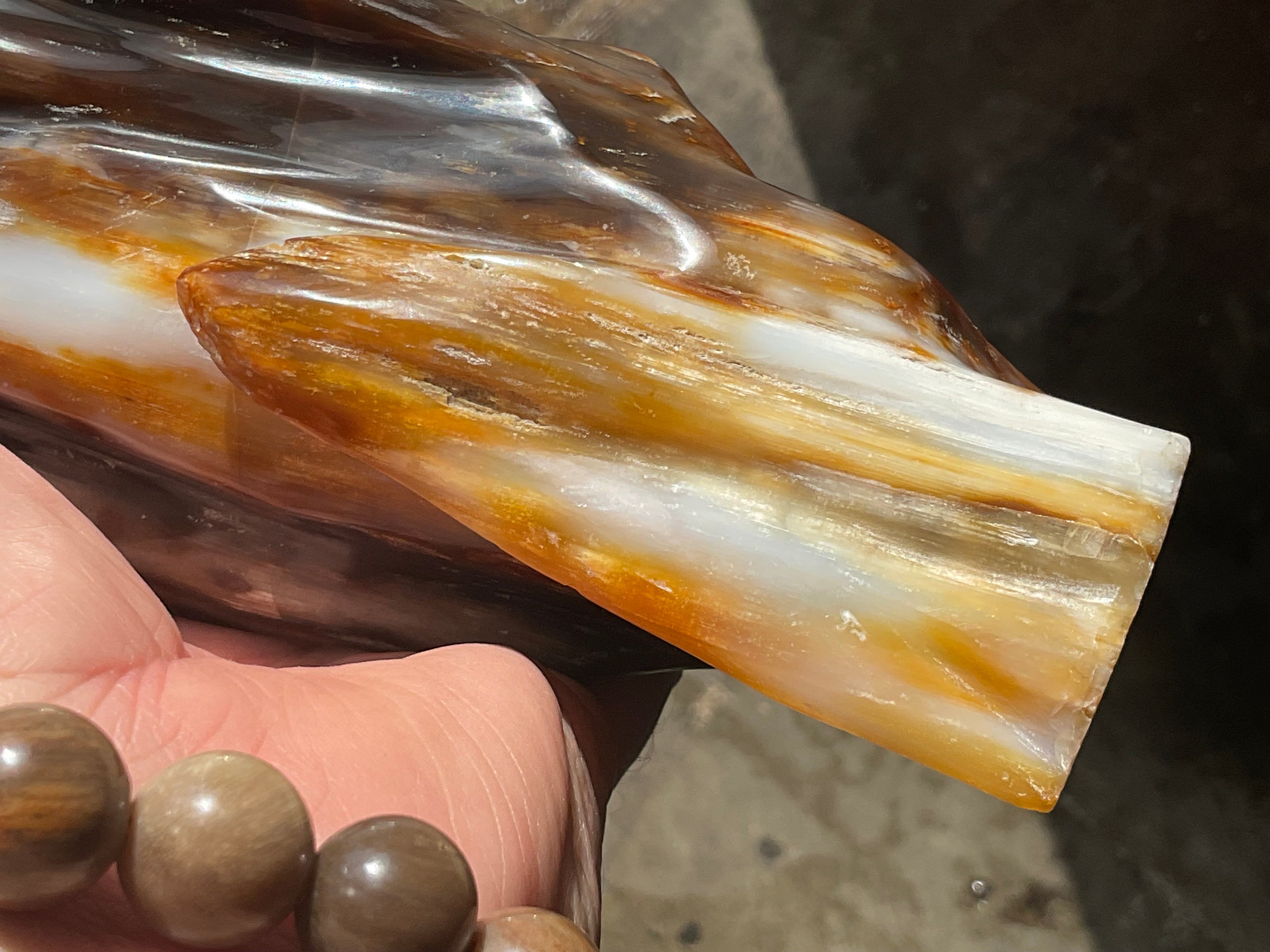 904g Myanmar Petrified/Opalised Wood Freeform