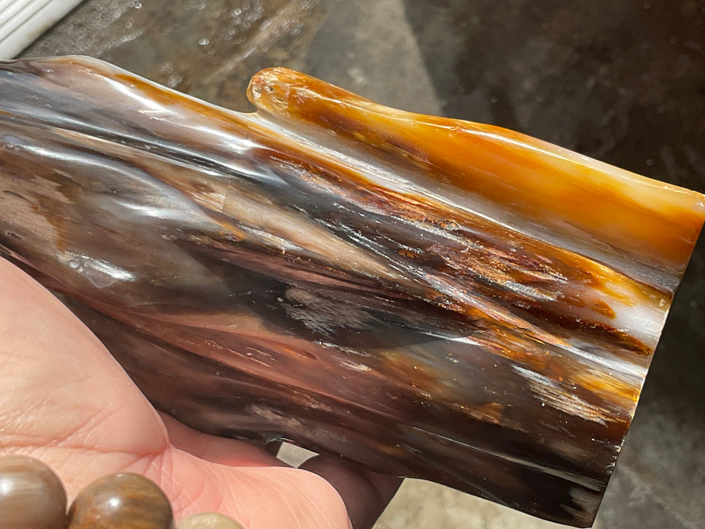 904g Myanmar Petrified/Opalised Wood Freeform