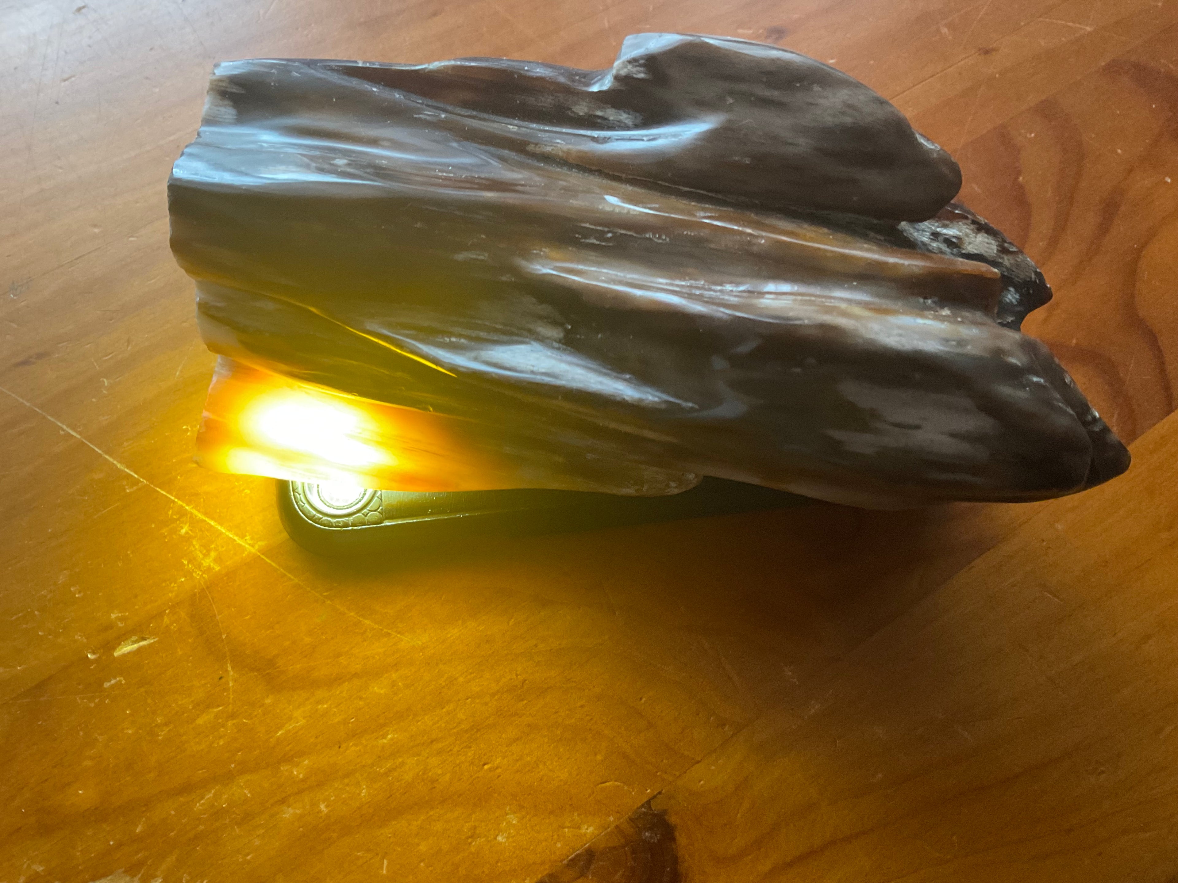 904g Myanmar Petrified/Opalised Wood Freeform