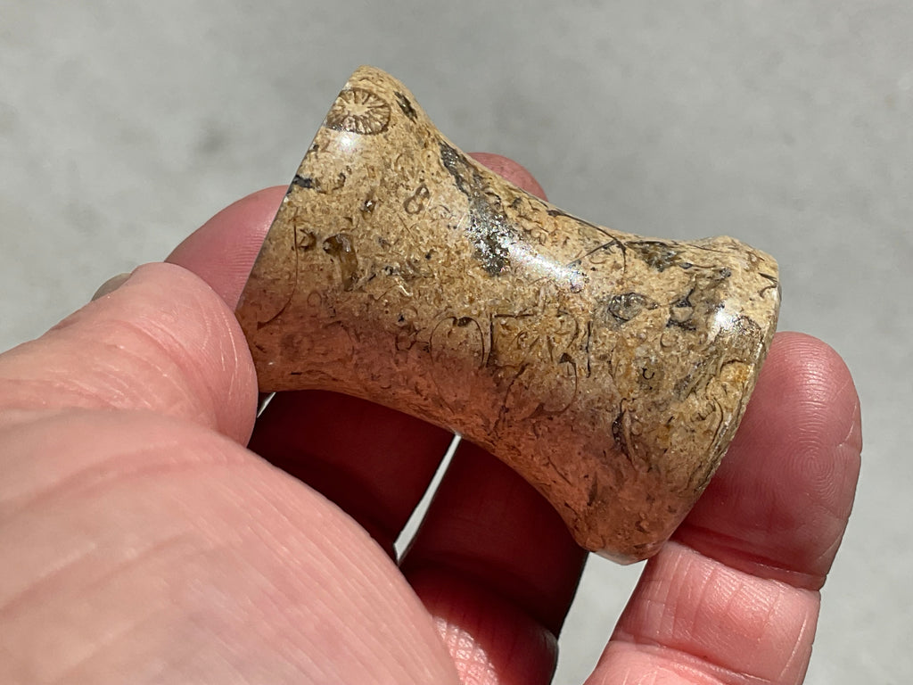 Fossilised Sea Bed Pedestal Style Sphere Stand 3C