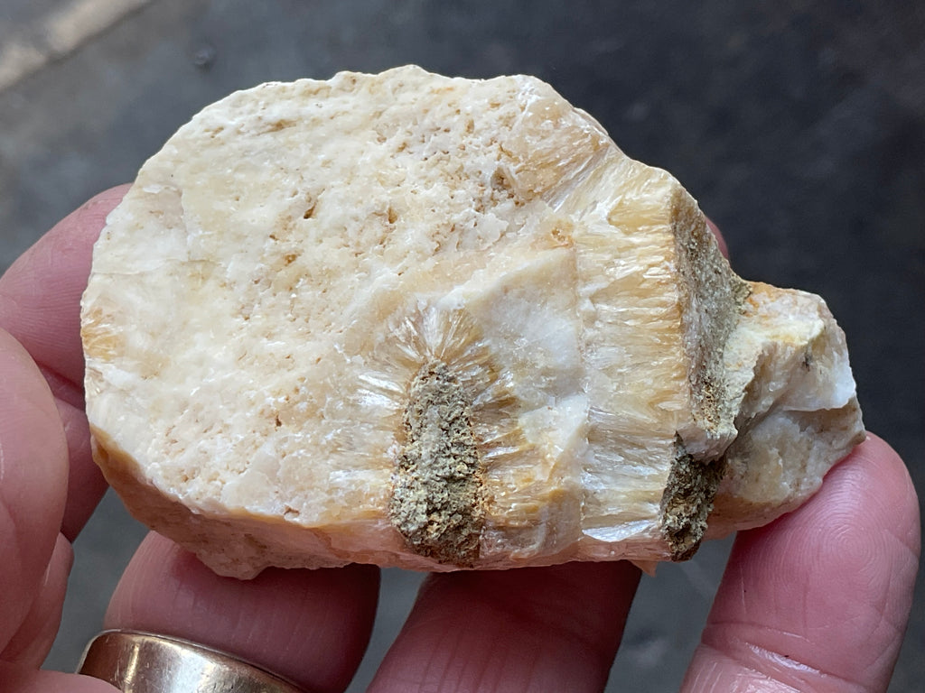 86g Palygorskite with Stellerite Specimen from Tasmania Australia