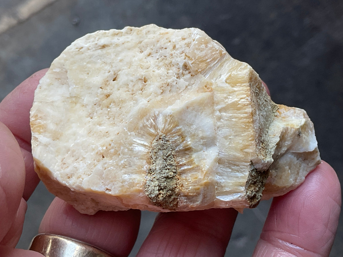86g Palygorskite with Stellerite Specimen from Tasmania Australia