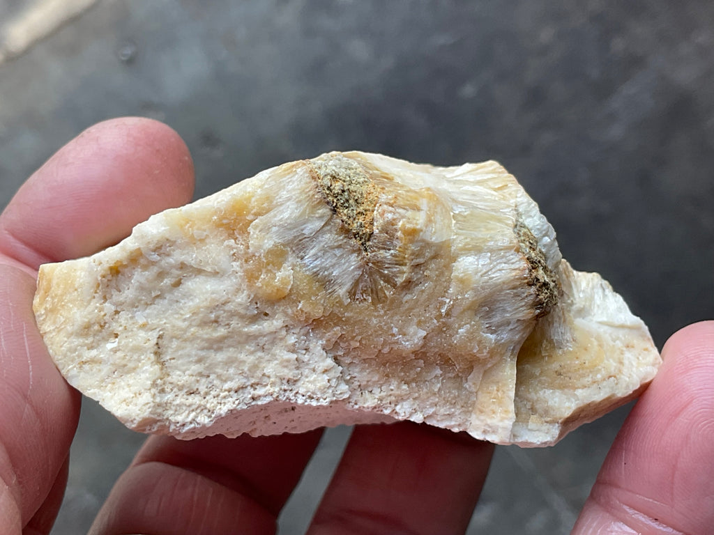 86g Palygorskite with Stellerite Specimen from Tasmania Australia